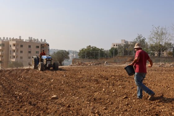 بلدية البيرة تطلق مبادرة لزراعة الأراضي الفارغة بالمحاصيل الزراعية بالتعاون مع الاغاثة الزراعية